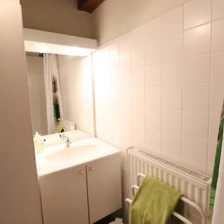 Maison De Caractere Pres Des Volcans D'auvergne, 3 Chambres, Grand Jardin, Animaux Admis, Internet. - Fr-1-742-390 Semesterbostad Sainte-Eulalie (Auvergne)